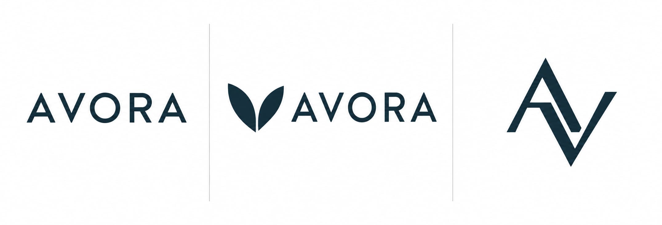 Logo format examples: A wordmark, B symbol plus name, and C lettermark or initials